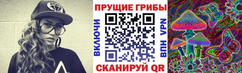 купить закладку  Великие Луки  Галлюциногенные грибы прущие грибы 